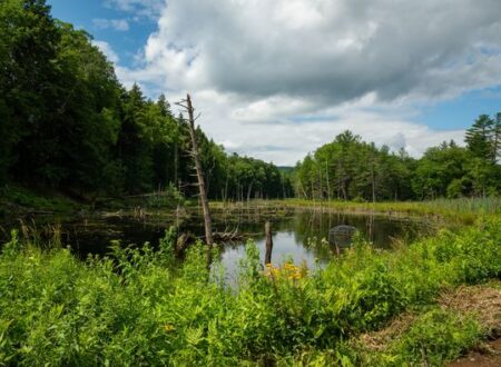 moreau lake state park