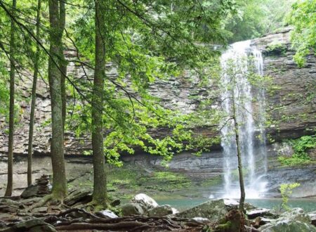 cloudland canyon state park