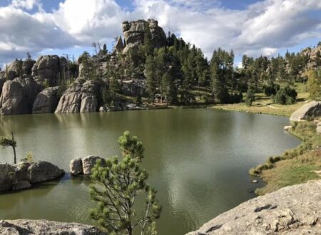 custer state park