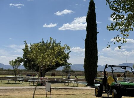 balmorhea state park