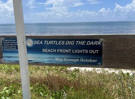 bahia honda state park