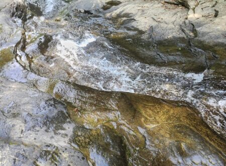 ohiopyle state park