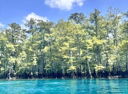 florida caverns state park