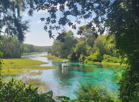 rainbow springs state park