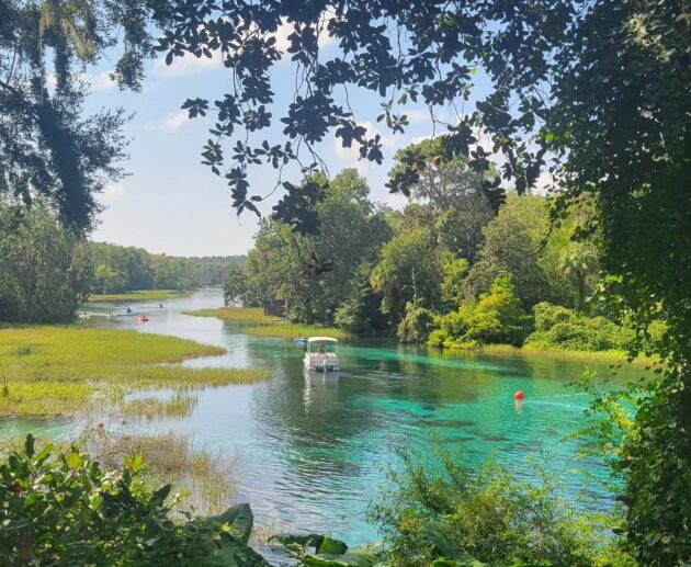 rainbow springs state park