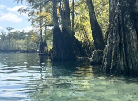 florida caverns state park