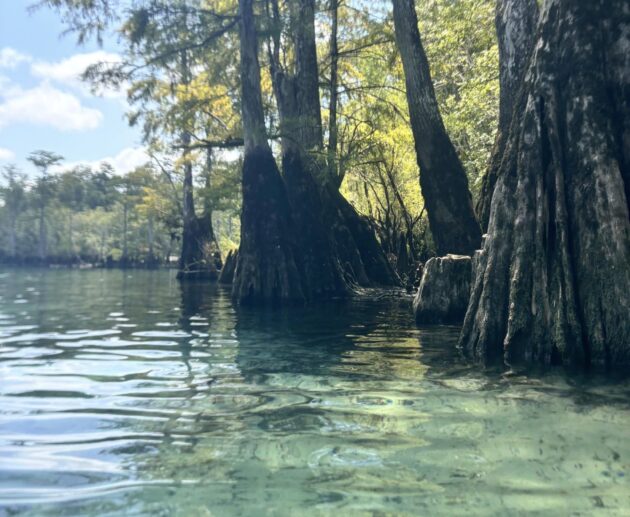 florida caverns state park