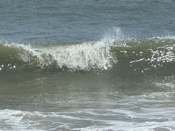 cape henlopen state park