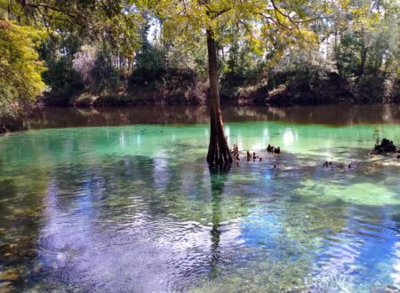 blue springs state park