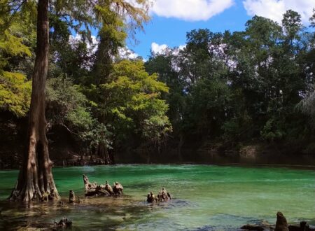 blue springs state park