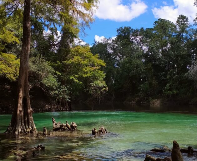 blue springs state park