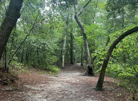 first landing state park