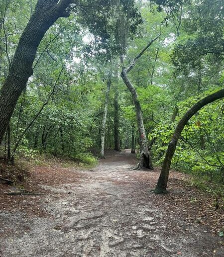 first landing state park