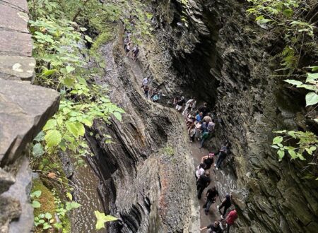 Explore Watkins Glen State Park’s hidden gems: stunning waterfalls, peaceful trails, and vibrant wildlife. A nature lover’s paradise awaits!