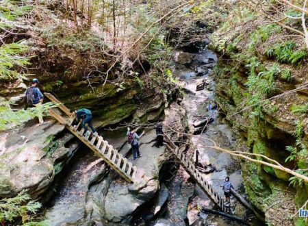 turkey run state park