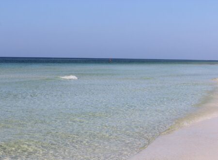 grayton beach state park