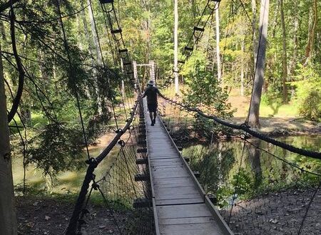 mohican state park