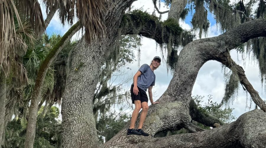 myakka river state park