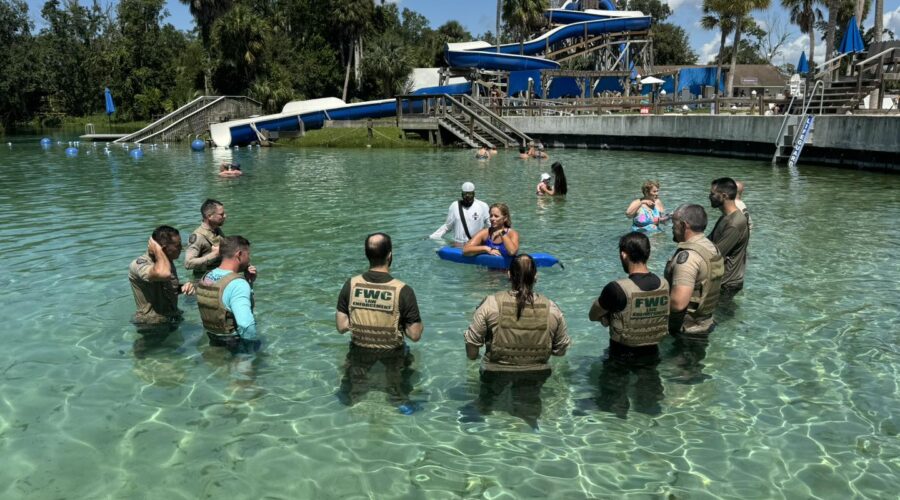 weeki wachee springs state park
