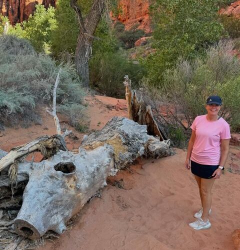 snow canyon state park
