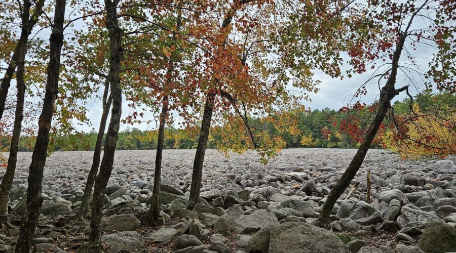 hickory run state park