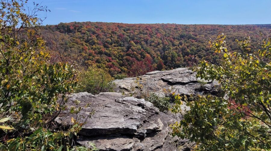 blackwater falls state park