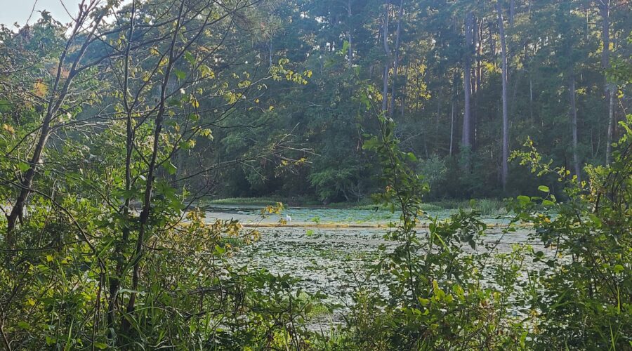 huntsville state park
