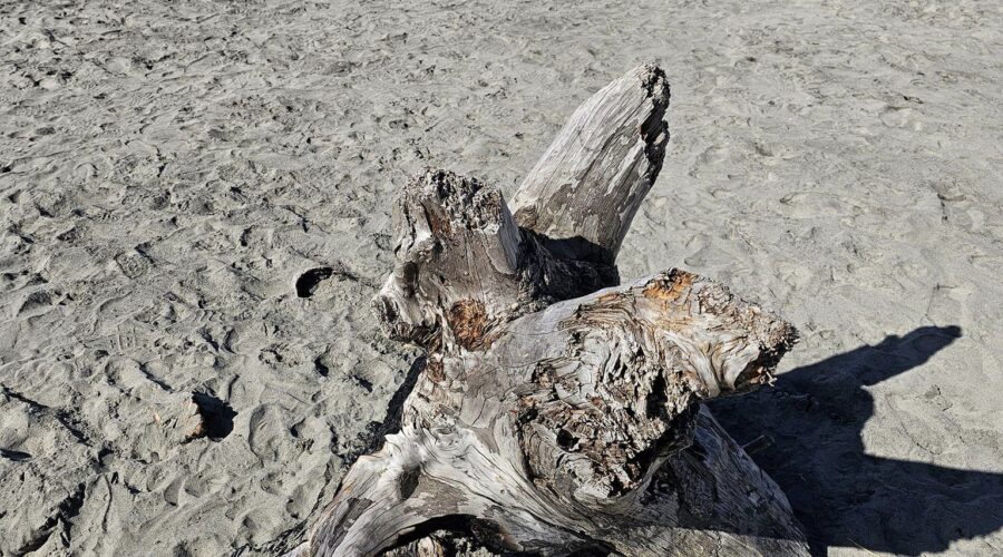 fort stevens state park