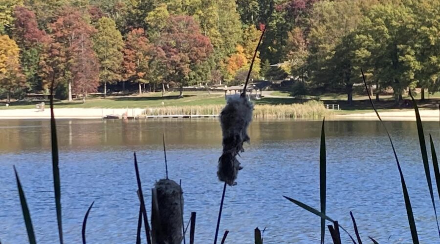 greenbrier state park