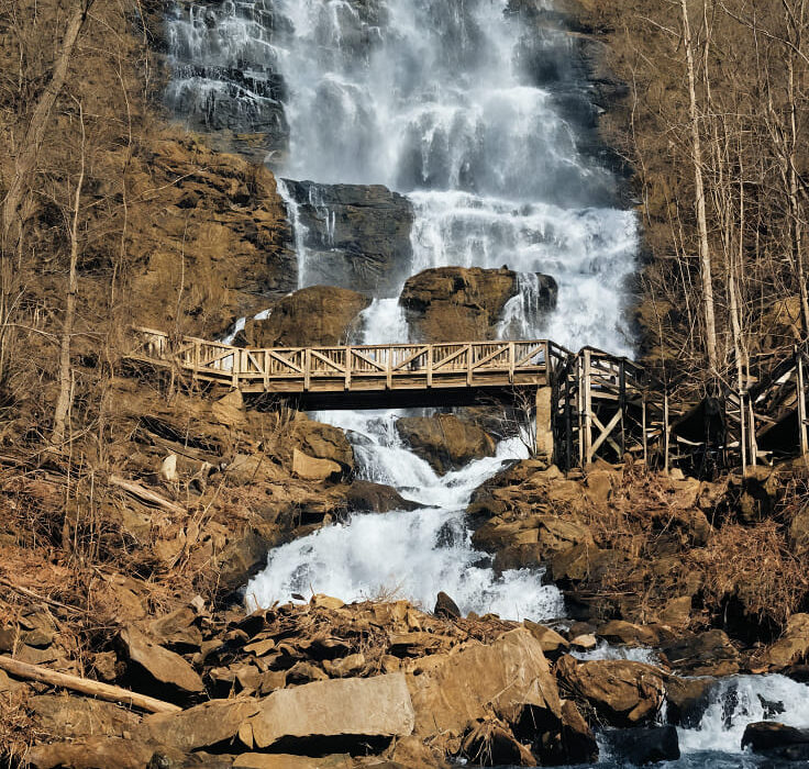 Everything You Need to Know Before Visiting Amicalola Falls State Park ...