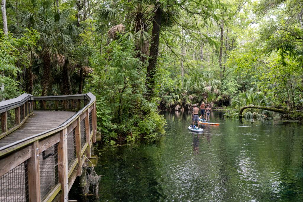 Steps⁤ Forward: Recommendations for Protecting Florida's ⁢State Parks