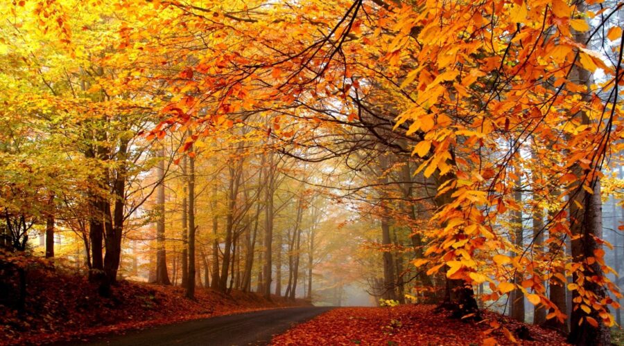 Northeastern Nebraska state parks see many enhancements – Rural Radio Network