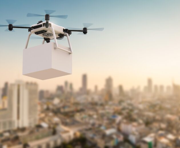 Environmental project uses drones to ‘hunt’ for health threats lurking in state parks: ‘There were just so many of them’ – The Cool Down