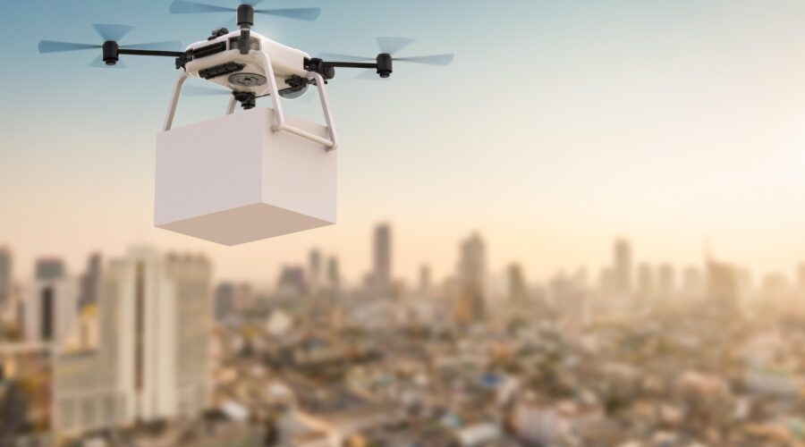Environmental project uses drones to ‘hunt’ for health threats lurking in state parks: ‘There were just so many of them’ – The Cool Down
