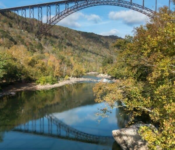 West Virginia State Parks Foundation names Reed as Executive Director – Morgan Messenger