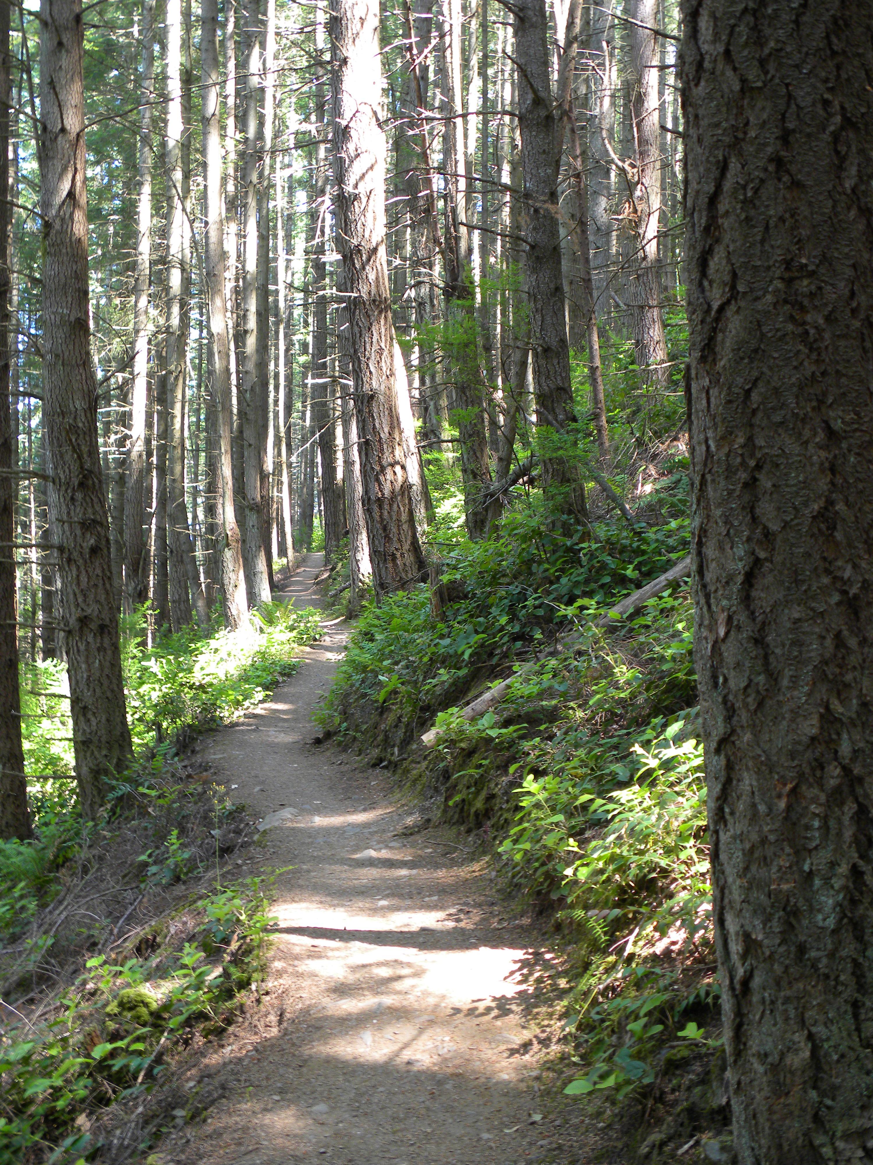 Exploring the Unique​ Features That Set This trail Apart