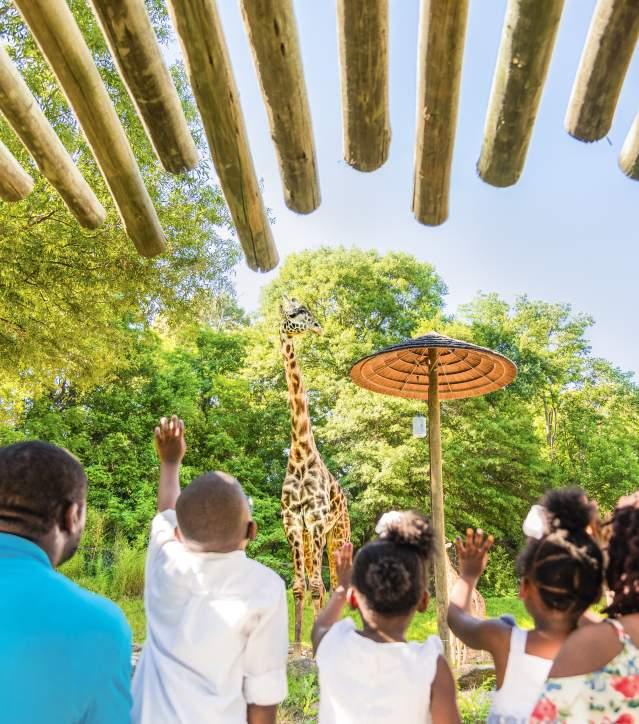 Family-Pleasant Activities for⁣ Every Adventure Seeker