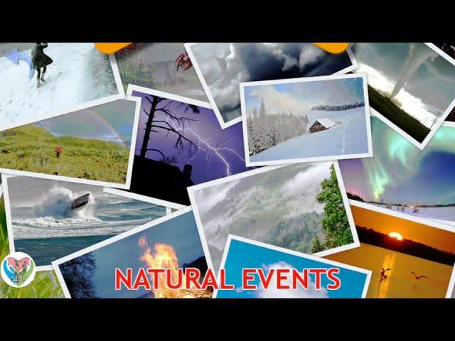 Celebrate Nature: Events and ‌Activities to⁤ Experience ​on Free park Day