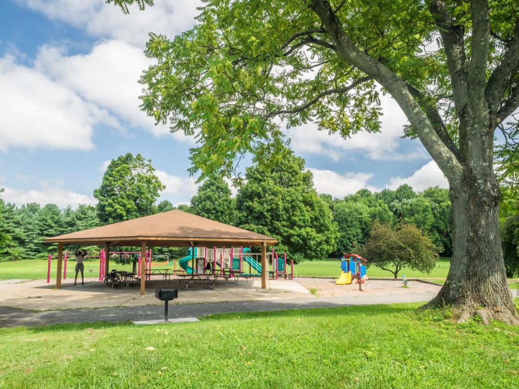Uncovering Exciting‍ Activities ⁤and attractions at Local Parks