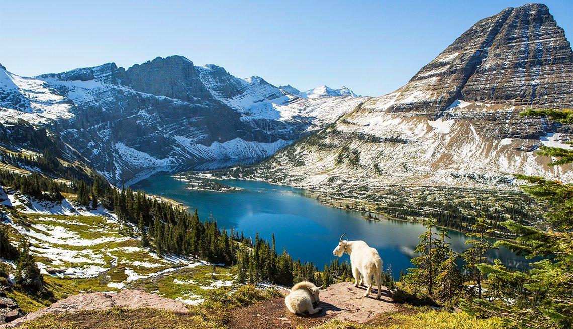 Exploring the Untamed Beauty of Glacier National Park