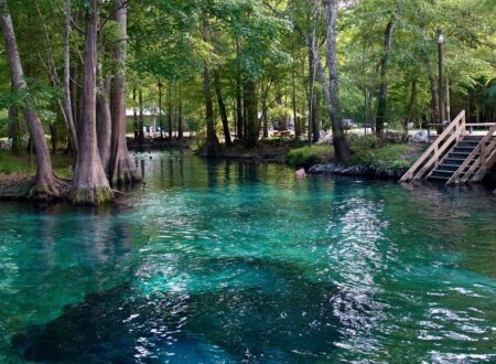 No recreation without representation: documenting the fight for Florida’s state parks – WUFT