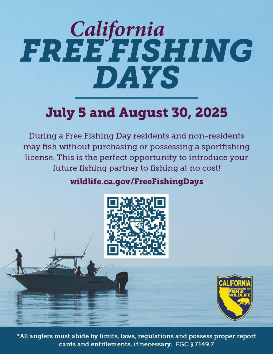 Exploring the Joy of Free Fishing Days in Kansas State ‌Parks