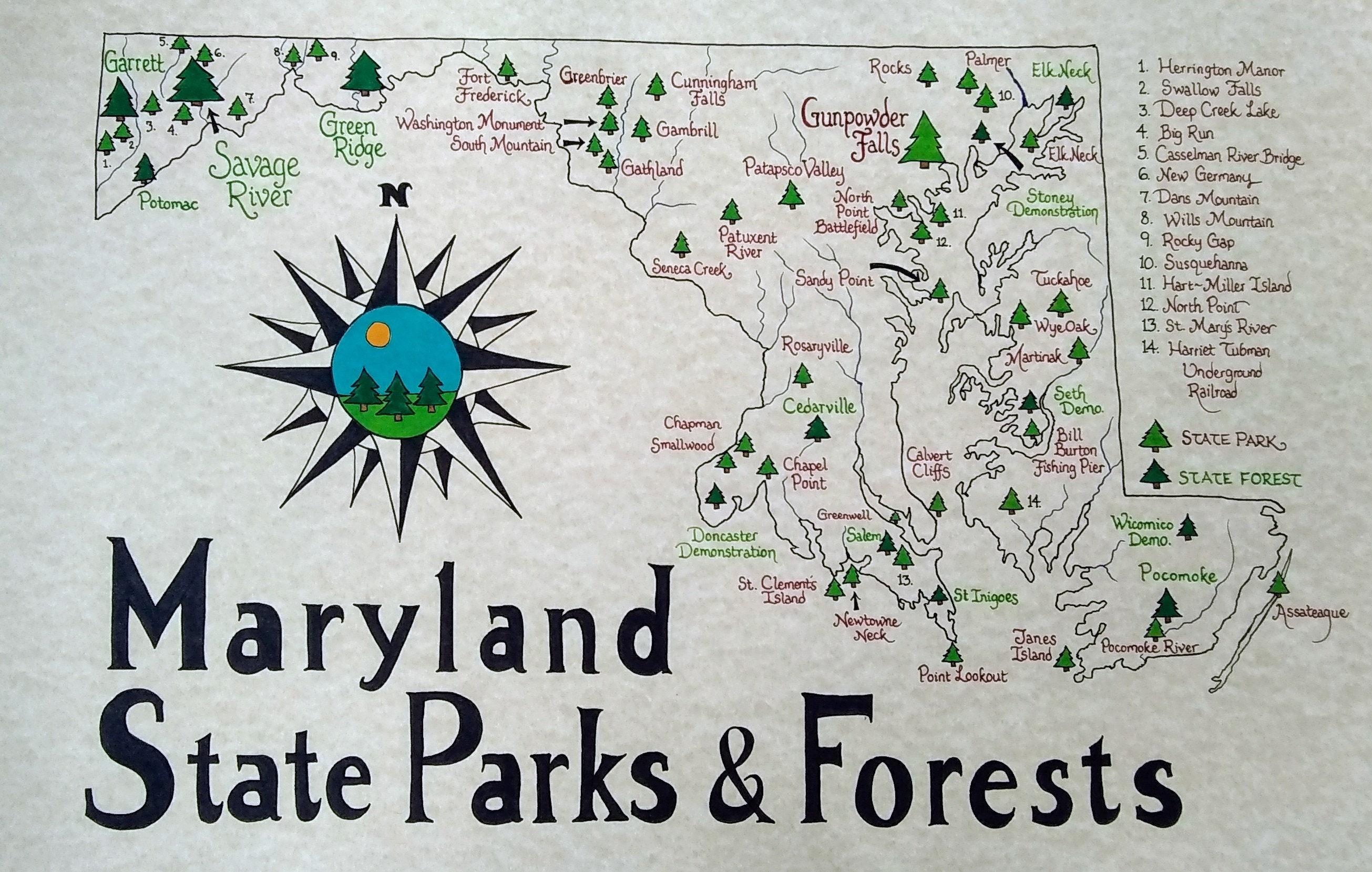 exploring‍ Activities ‍and Attractions in‍ Maryland's Popular Parks