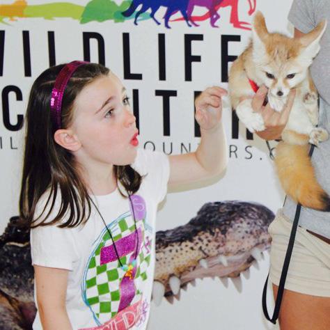 Wildlife Encounters: What ​to ⁤Expect in California's Premier Parks