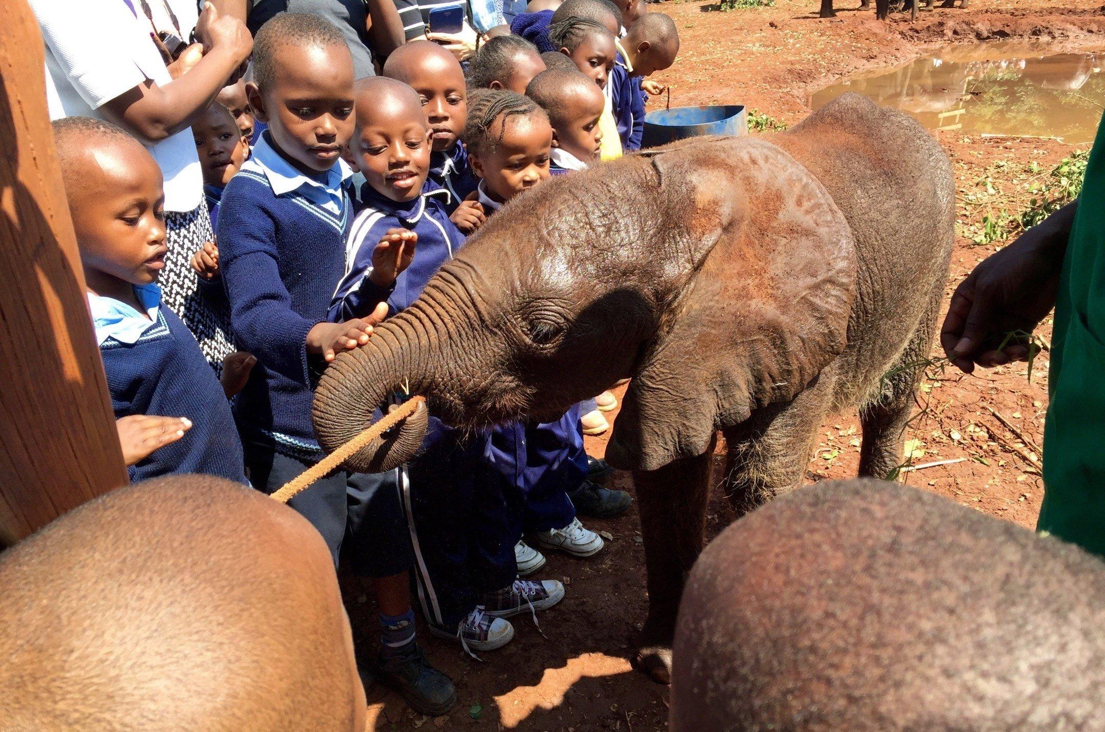 Unique ⁤Wildlife Encounters That ⁤Will Enhance Your Visit