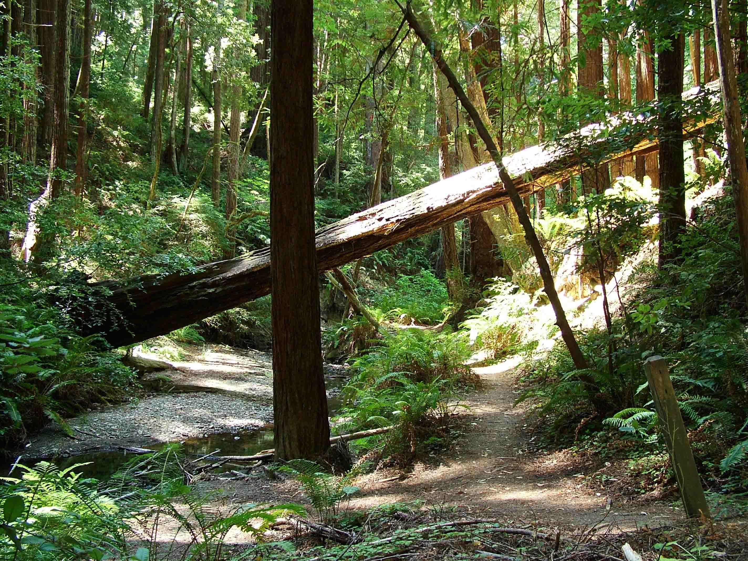 Unforgettable⁣ Hiking Trails for All Skill ⁣Levels