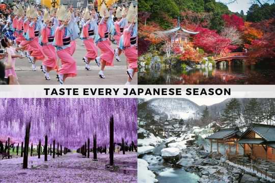 Seasonal Wonders:‌ What to‍ Experience Throughout the ​Year