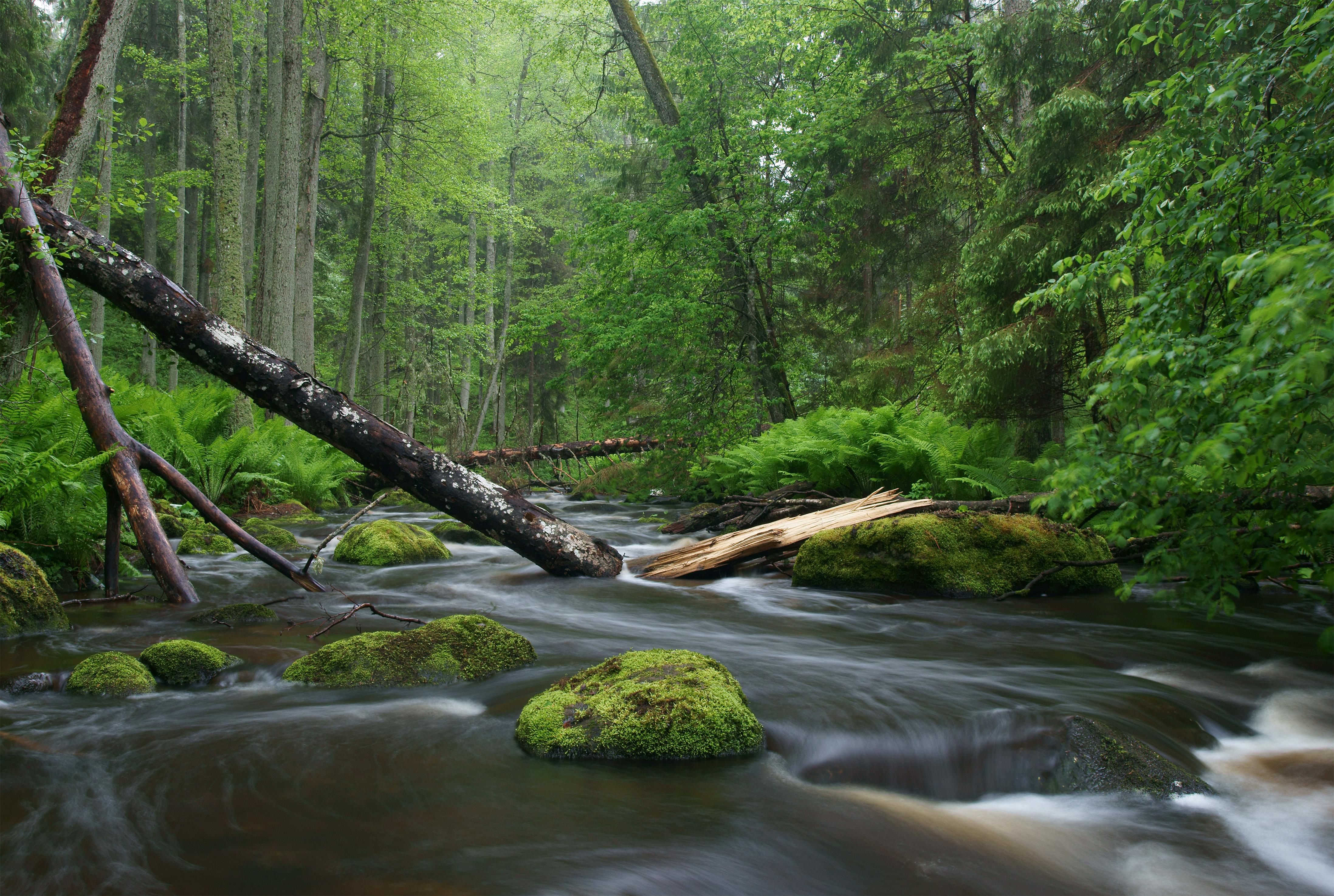 Celebrating a Legacy of Nature and Adventure