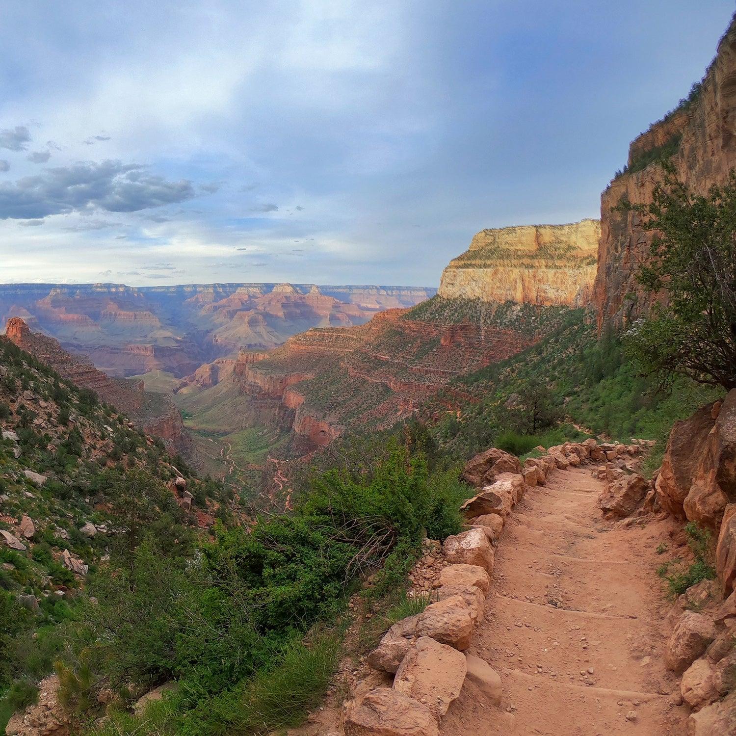 Top Scenic Trails and Parks to Visit