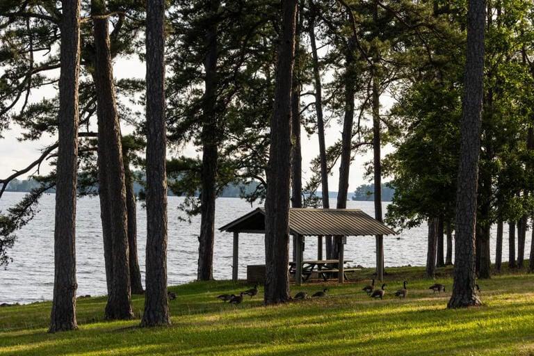 Exploring the Natural Beauty of Pine⁣ Island State Park